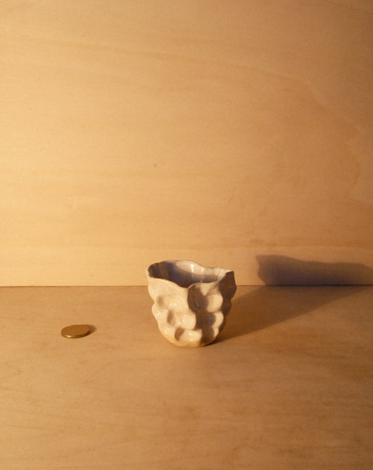 WHITE MOREL CUP 011