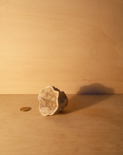 WHITE MOREL CUP 011