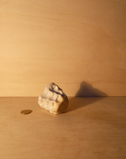 WHITE MOREL CUP 011