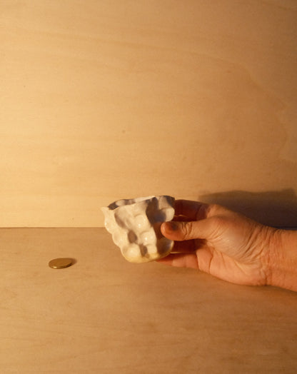WHITE MOREL CUP 011