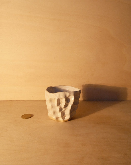 WHITE MOREL CUP 012