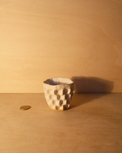 WHITE MOREL CUP 012