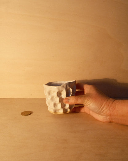 WHITE MOREL CUP 012