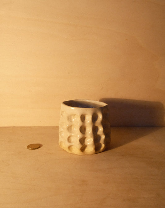 DUSK MOREL CUP 010