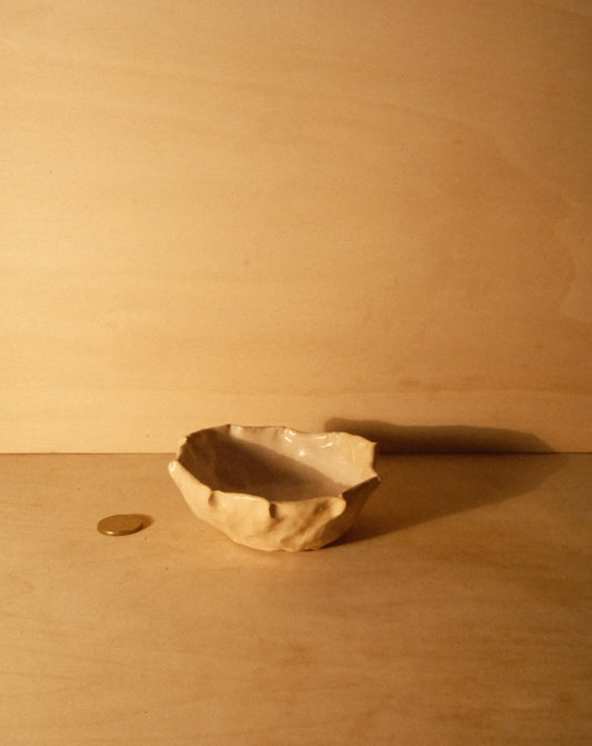 DUSK SHROOM BOWL 002