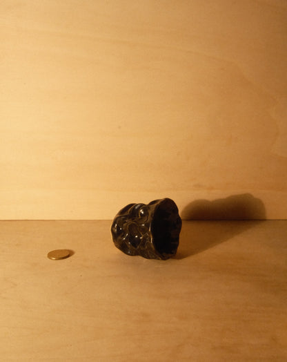 BLACK MOREL CUP 009