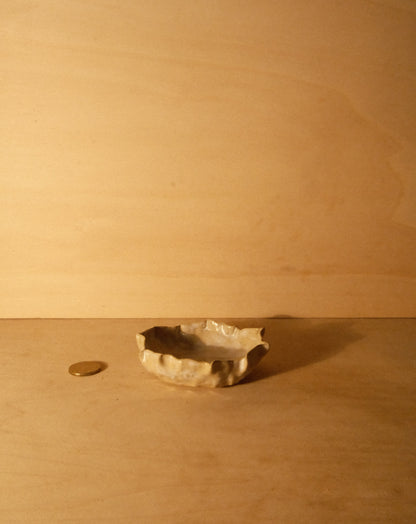 DUSK SHROOM BOWL 003
