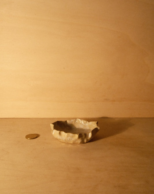 DUSK SHROOM BOWL 003