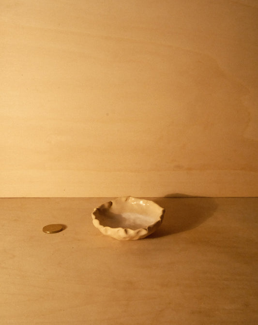 DUSK SHROOM BOWL 004