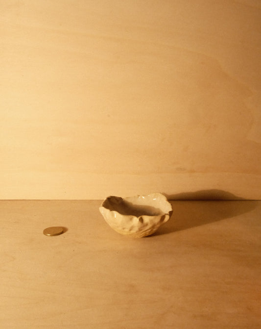 DUSK SHROOM BOWL 005