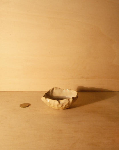 DUSK SHROOM BOWL 005
