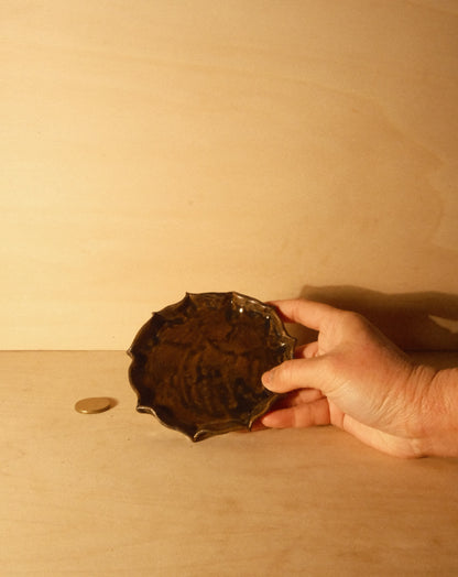 BROWN SHROOM PLATE 001